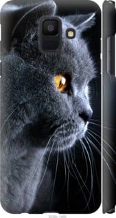 Чехол на Samsung Galaxy A6 2018 Красивый кот "3038c-1480-7105"