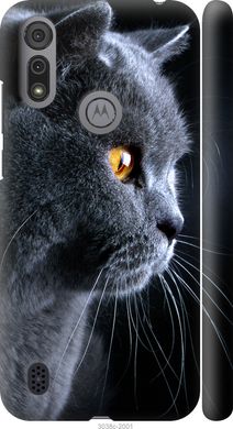 Чехол на Motorola E6i Красивый кот "3038c-2355-7105"
