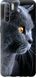 Чехол на Oppo Reno 3 Красивый кот "3038u-1901-7105"