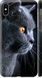 Чехол на Apple iPhone XS Max Красивый кот "3038c-1557-7105"