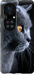 Чехол на Huawei P50 Красивый кот "3038u-2292-7105"