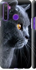 Чехол на Realme 5 Красивый кот "3038c-1862-7105"