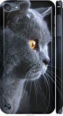 Чехол на Apple iPod Touch 5 Красивый кот "3038c-35-7105"