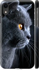 Чехол на iPhone XR Красивый кот "3038c-1560-7105"