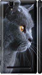 Чехол на Sony Xperia T2 Ultra Dual D5322 Красивый кот "3038c-92-7105"