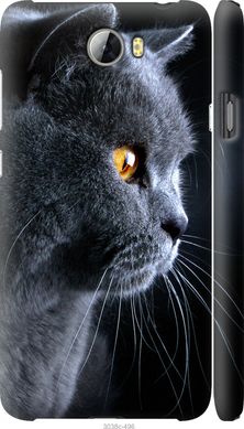 Чехол на Huawei Y5 II Красивый кот "3038c-496-7105"