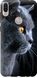 Чехол на Asus ZenFone Max Pro M1 ZB602KL Красивый кот "3038u-1647-7105"