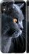Чехол на iPhone XR Красивый кот "3038c-1560-7105"