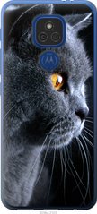 Чехол на Motorola E7 Plus Красивый кот "3038u-2107-7105"