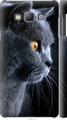 Чехол на Samsung Galaxy A7 A700H Красивый кот "3038c-117-7105"