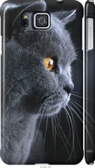 Чехол на Samsung Galaxy Alpha G850F Красивый кот "3038c-65-7105"