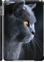 Чехол на Apple iPad 5 (Air) Красивый кот "3038c-26-7105"