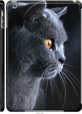 Чехол на Apple iPad 5 (Air) Красивый кот "3038c-26-7105"