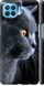 Чехол на Oppo Reno 4 Lite Красивый кот "3038c-2099-7105"