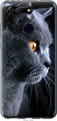 Чехол на Huawei Honor View 20 Красивый кот "3038u-1645-7105"
