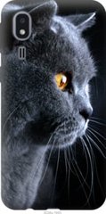 Чехол на Samsung Galaxy A2 Core A260F Красивый кот "3038u-1683-7105"