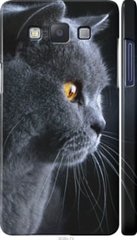 Чехол на Samsung Galaxy A5 A500H Красивый кот "3038c-73-7105"