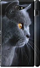 Чехол на Sony Xperia M2 dual D2302 Красивый кот "3038c-61-7105"