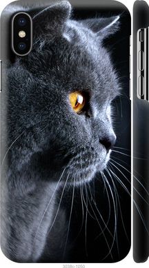Чехол на Apple iPhone X Красивый кот "3038c-1050-7105"