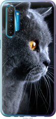 Чехол на Realme XT Красивый кот "3038u-1868-7105"