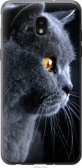 Чехол на Samsung Galaxy J7 2018 Красивый кот "3038u-1502-7105"