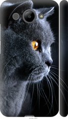 Чехол на Huawei Y3 2017 Красивый кот "3038c-991-7105"
