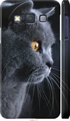 Чехол на Samsung Galaxy A3 A300H Красивый кот "3038c-72-7105"