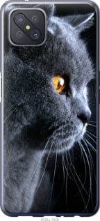 Чехол на Oppo Reno 4 Z Красивый кот "3038u-2278-7105"