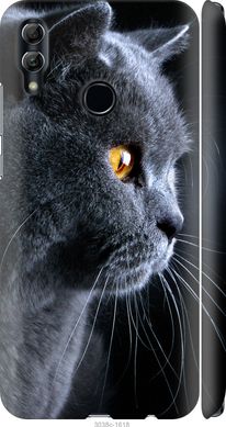 Чехол на Huawei Honor 10 Lite Красивый кот "3038c-1618-7105"