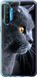 Чехол на Realme XT Красивый кот "3038u-1868-7105"