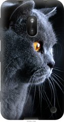Чехол на Nokia Lumia 620 Красивый кот "3038u-249-7105"
