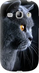 Чехол на Samsung Galaxy Fame S6810 Красивый кот "3038u-254-7105"