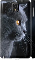 Чехол на Samsung Galaxy Note 3 N9000 Красивый кот "3038c-29-7105"