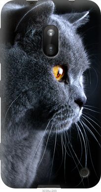 Чехол на Nokia Lumia 620 Красивый кот "3038u-249-7105"