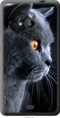 Чехол на Microsoft Lumia 535 Красивый кот "3038u-130-7105"