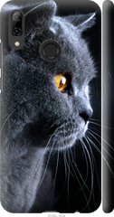 Чехол на Huawei P Smart 2019 Красивый кот "3038c-1634-7105"