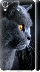 Чехол на HTC Desire 820 Красивый кот "3038c-133-7105"