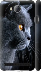 Чехол на Huawei Y3II / Y3 2 Красивый кот "3038c-495-7105"