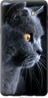 Чехол на Samsung Galaxy C9 Pro Красивый кот "3038u-720-7105"