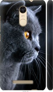 Чехол на Xiaomi Redmi Note 3 pro Красивый кот "3038c-335-7105"