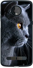 Чехол на Motorola Moto Z3 Play Красивый кот "3038u-1393-7105"