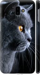 Чехол на Samsung Galaxy J6 Plus 2018 Красивый кот "3038c-1586-7105"