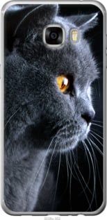 Чехол на Samsung Galaxy C7 C7000 Красивый кот "3038u-302-7105"