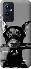 Чехол на OnePlus 9 Доберман "2745u-2249-7105"