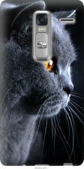 Чехол на LG Zero Красивый кот "3038u-476-7105"