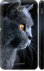 Чехол на Sony Xperia E4 Dual E2115 Красивый кот "3038c-87-7105"