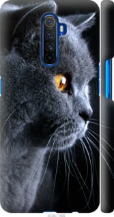 Чехол на Realme X2 Pro Красивый кот "3038c-1866-7105"