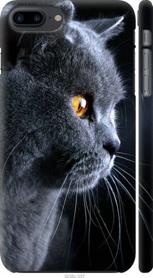 Чехол на iPhone 7 Plus Красивый кот "3038c-337-7105"