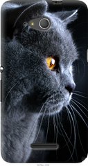 Чехол на Sony Xperia E4g Красивый кот "3038u-326-7105"