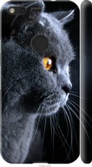 Чехол на Google Pixel Красивый кот "3038c-400-7105"